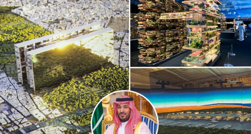 Saudi Arabian Crown Princeâs $12 trillion, desert-city dream in tatters as megaproject halted